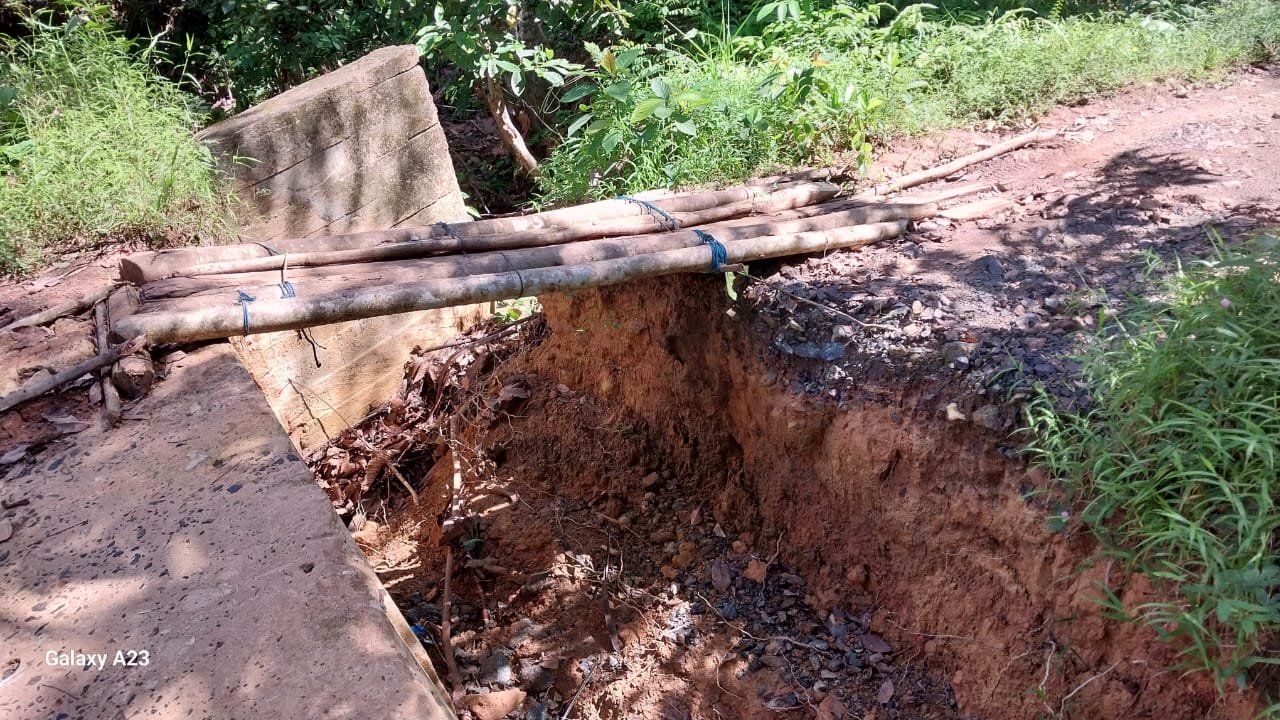 Jalan dan Jembatan Penghubung Antara Desa Pantai Baru Dengan Megasari Butuh Perhatian
